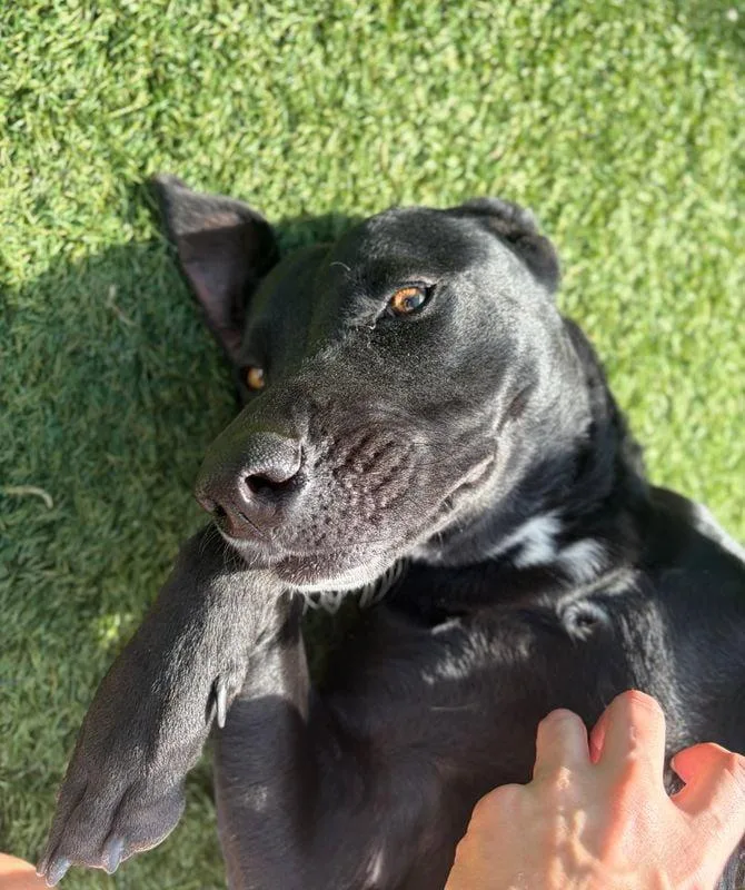 Hallie thumbnail 3