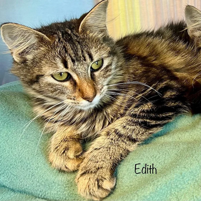 Edith thumbnail 2
