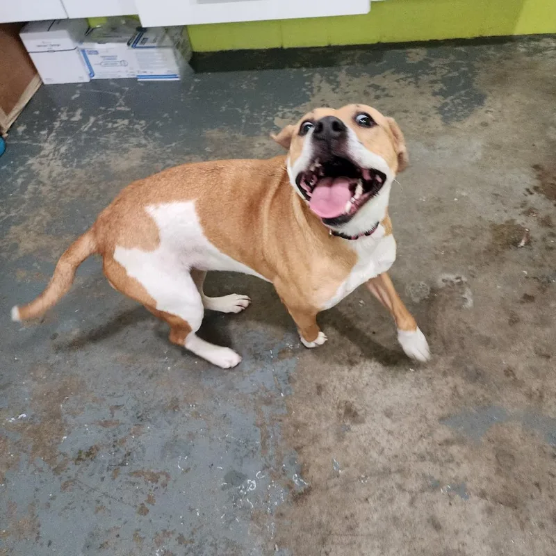 Maebelle thumbnail 2