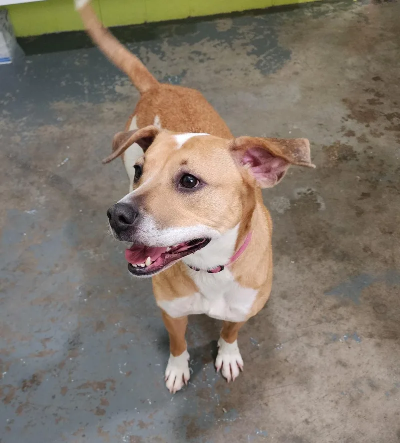 Maebelle thumbnail 3