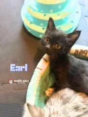 Bedtime Stories:  Earl thumbnail 2