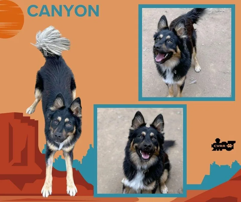 Canyon