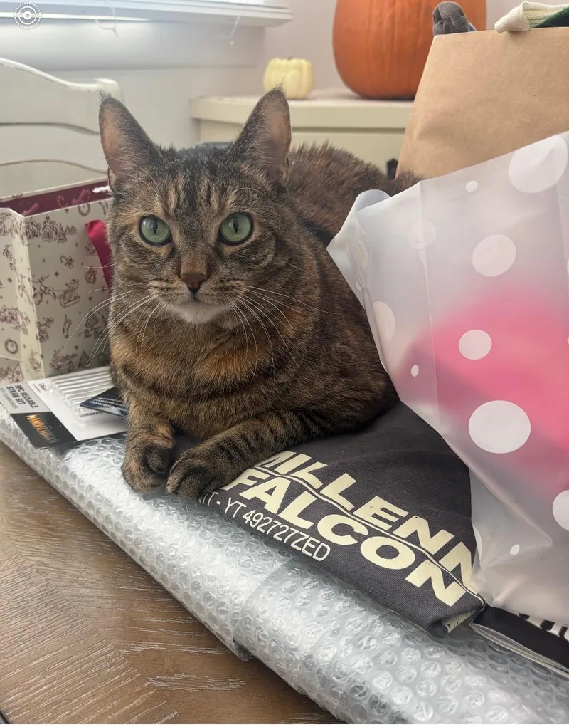 Joan & Jett thumbnail 2