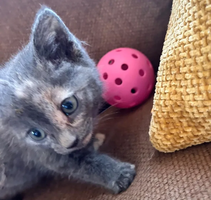 Lola thumbnail 2