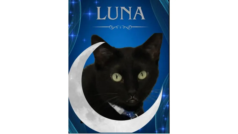 Luna thumbnail 2