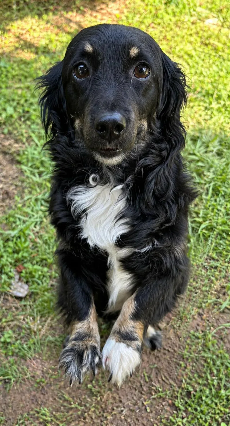 Petra In La thumbnail 2