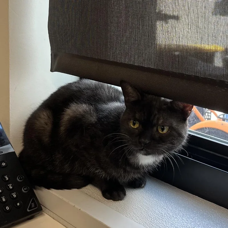 PudgeOliver