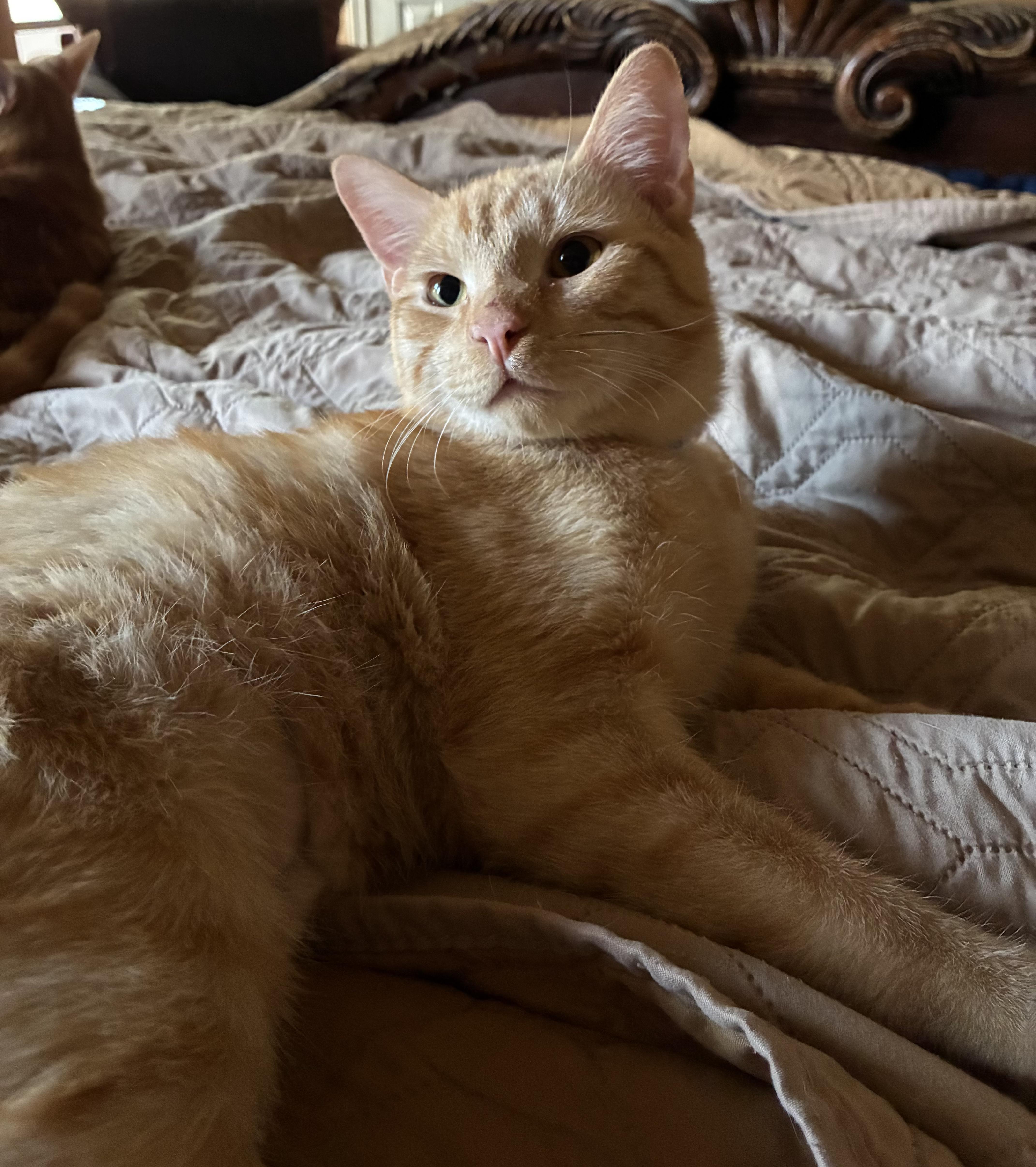 Parker & Michael thumbnail 2