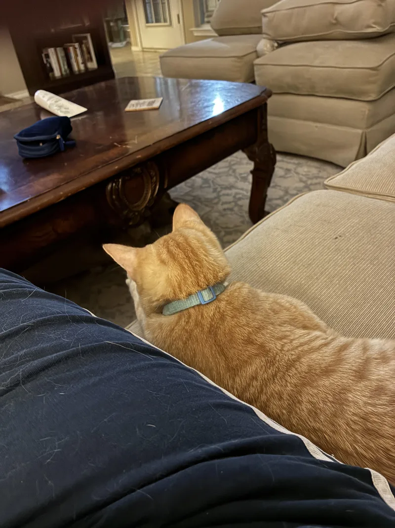 Parker & Michael thumbnail 3