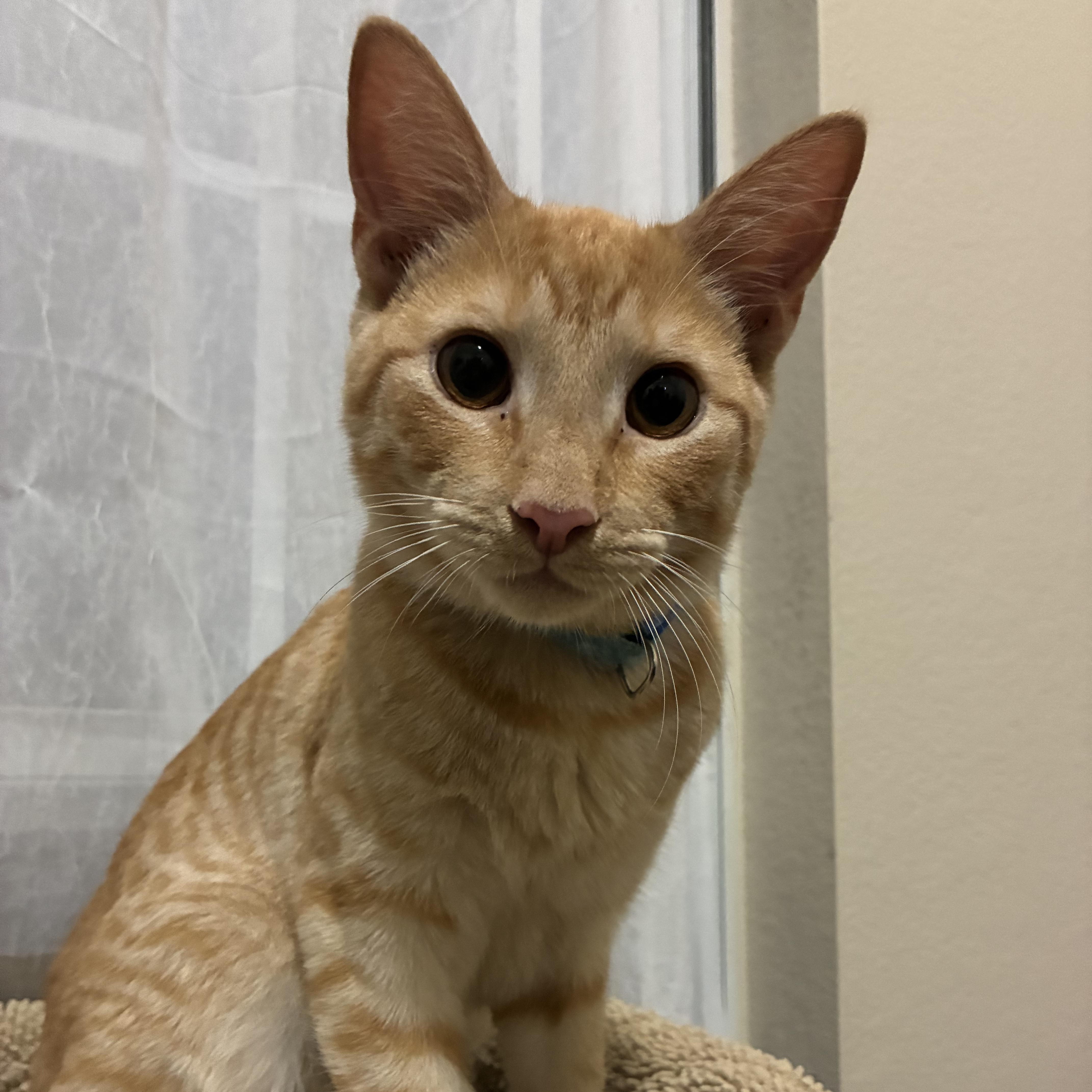 Parker & Michael thumbnail 4