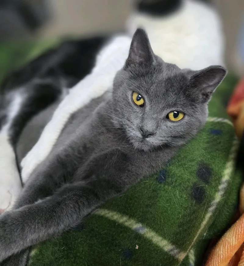 Little Gary thumbnail 3