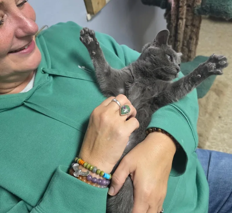 Little Gary thumbnail 6