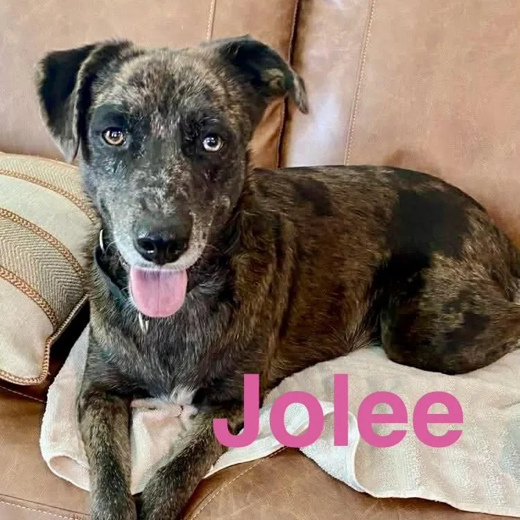 Jolee thumbnail 3