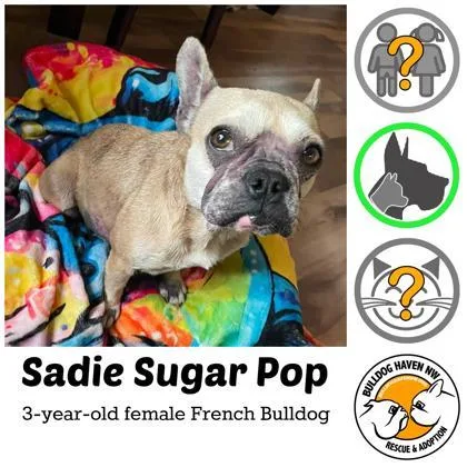 Sadie Sugarpop thumbnail 2