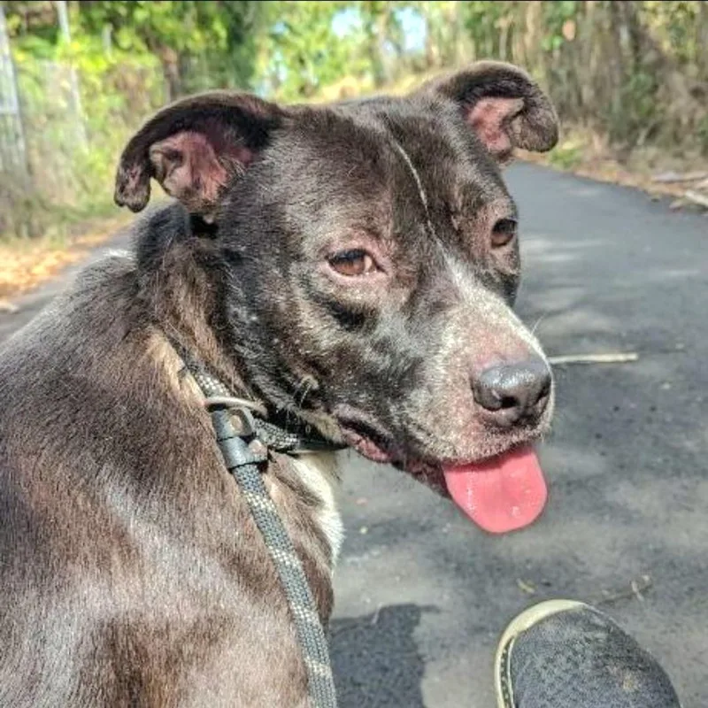 Donna "life With You