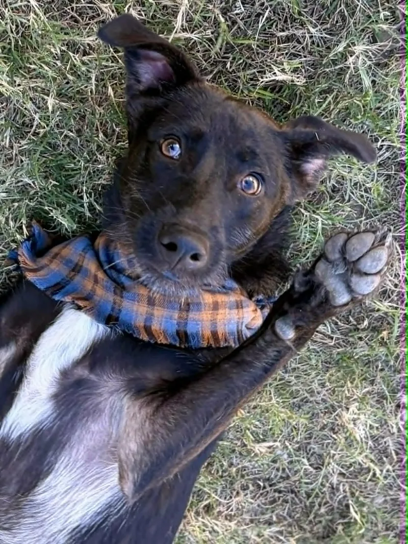 Styx Mcghee thumbnail 2