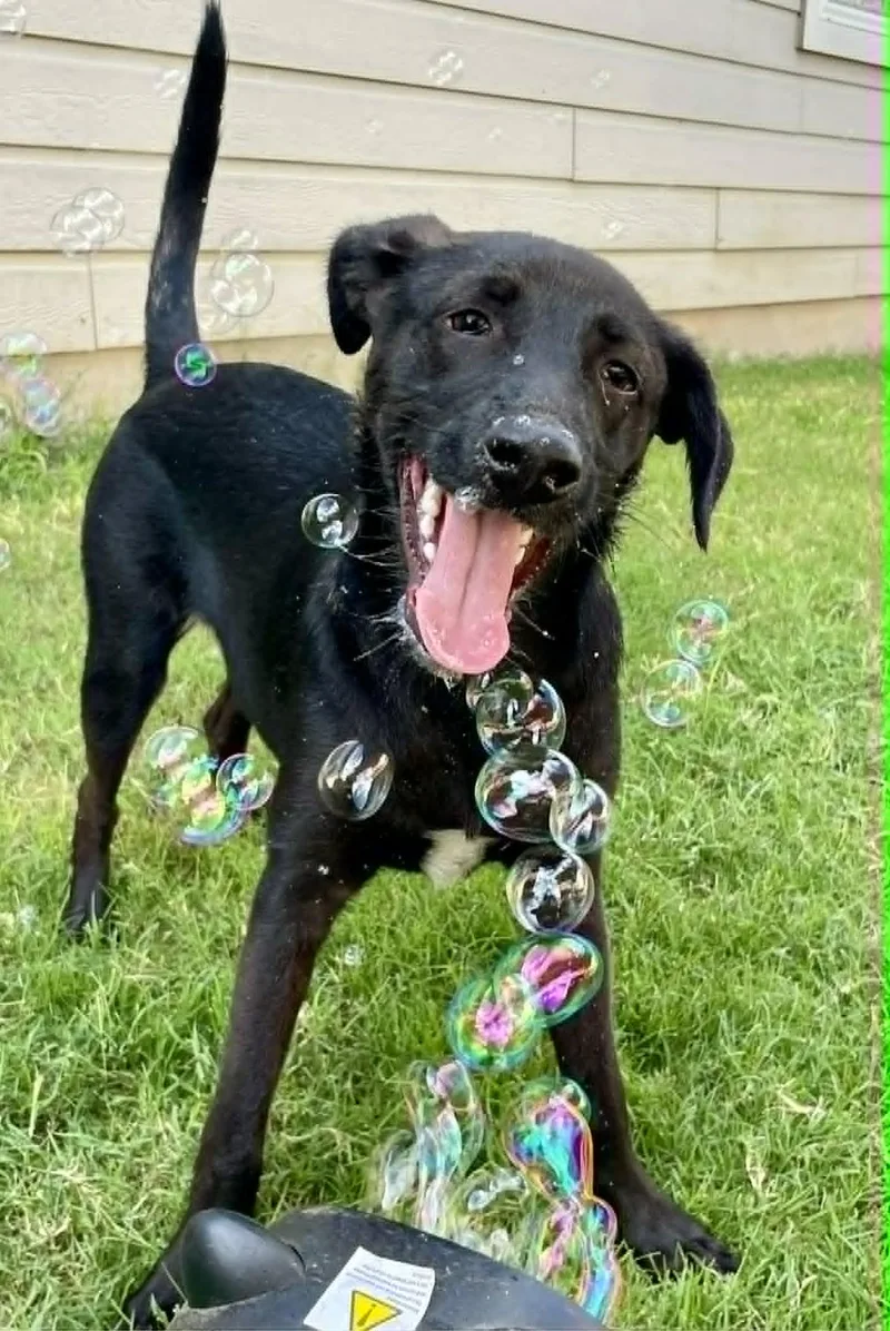 Styx Mcghee thumbnail 3