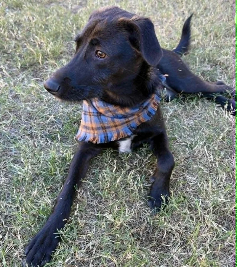 Styx Mcghee thumbnail 6