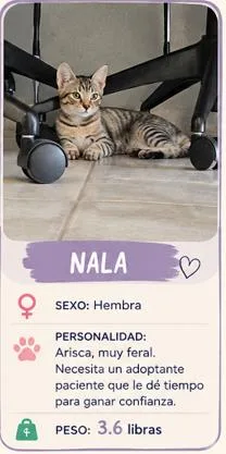 Nala