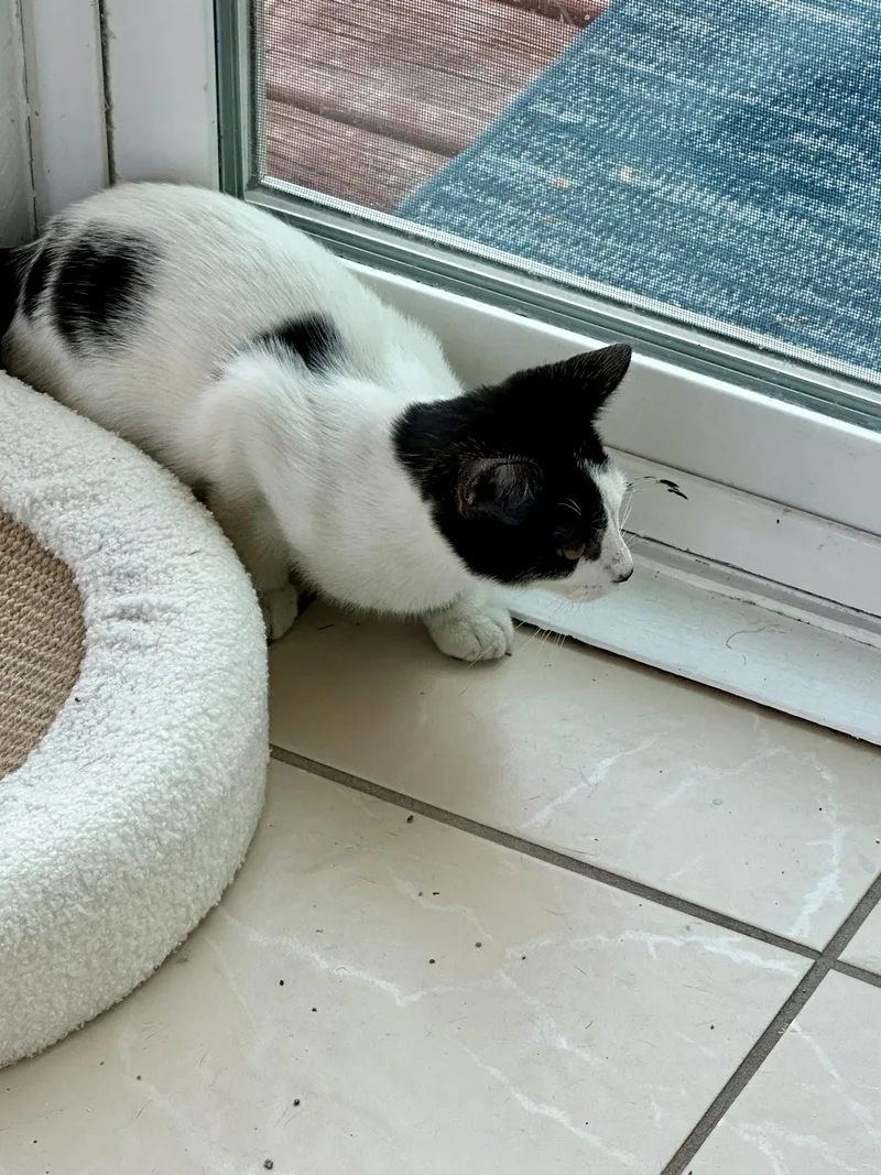 Isaac thumbnail 2