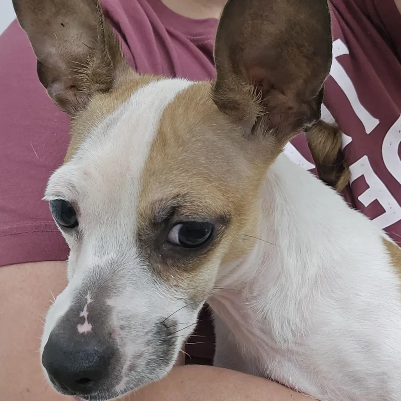 GiGi thumbnail 3