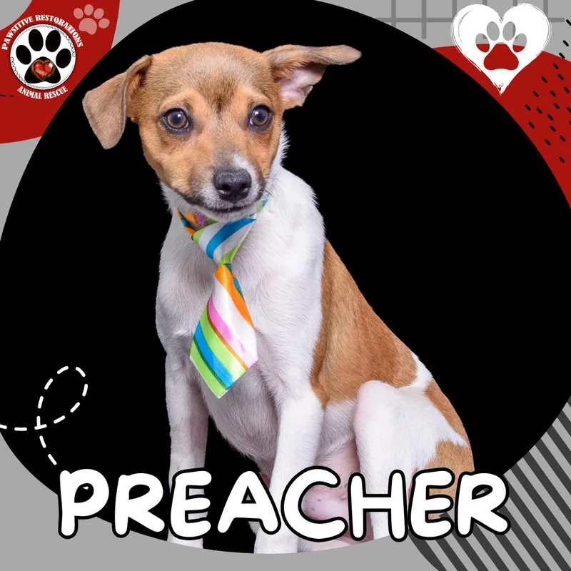 Preacher thumbnail 5