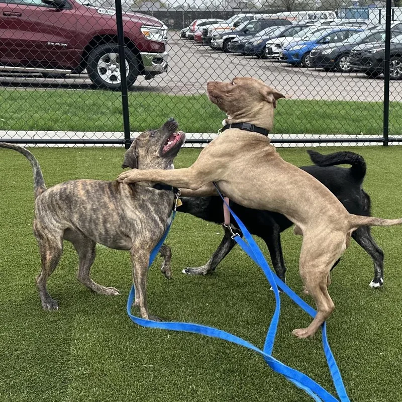 Big Jimmy thumbnail 2