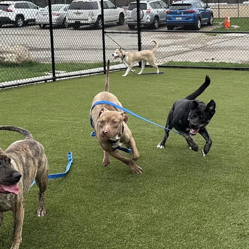 Big Jimmy thumbnail 3