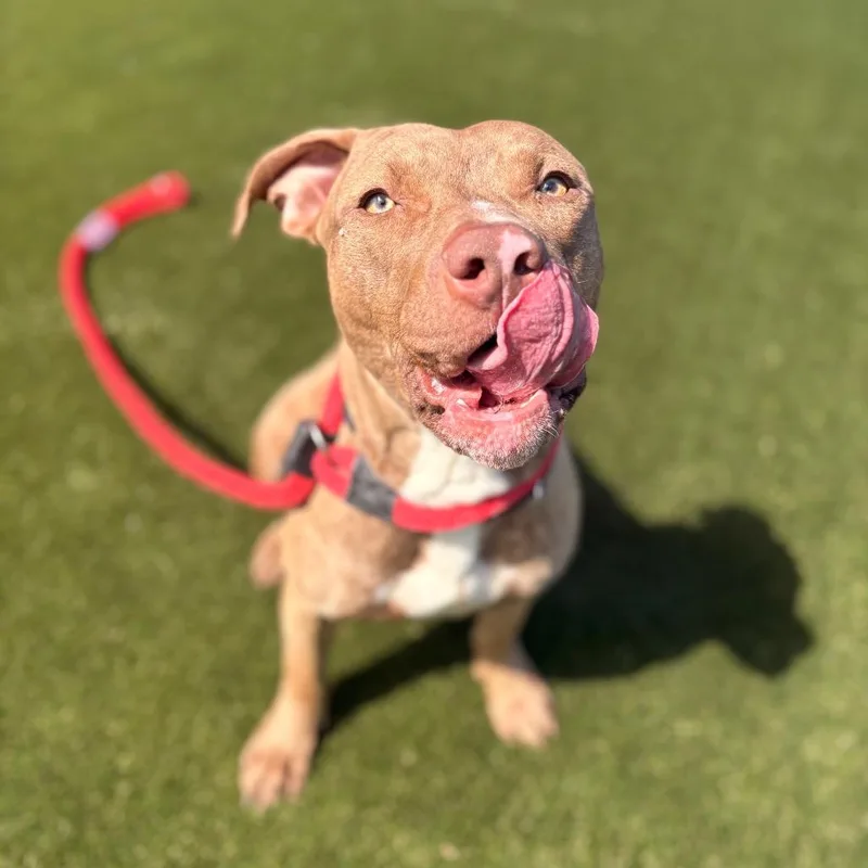 Big Jimmy thumbnail 5