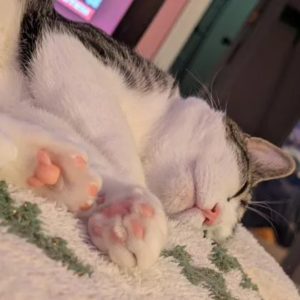 Harvey thumbnail 2