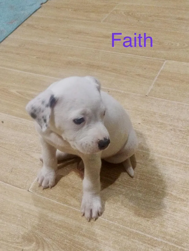 Faith thumbnail 2