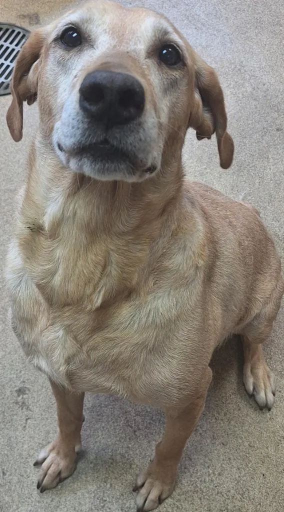Thelma