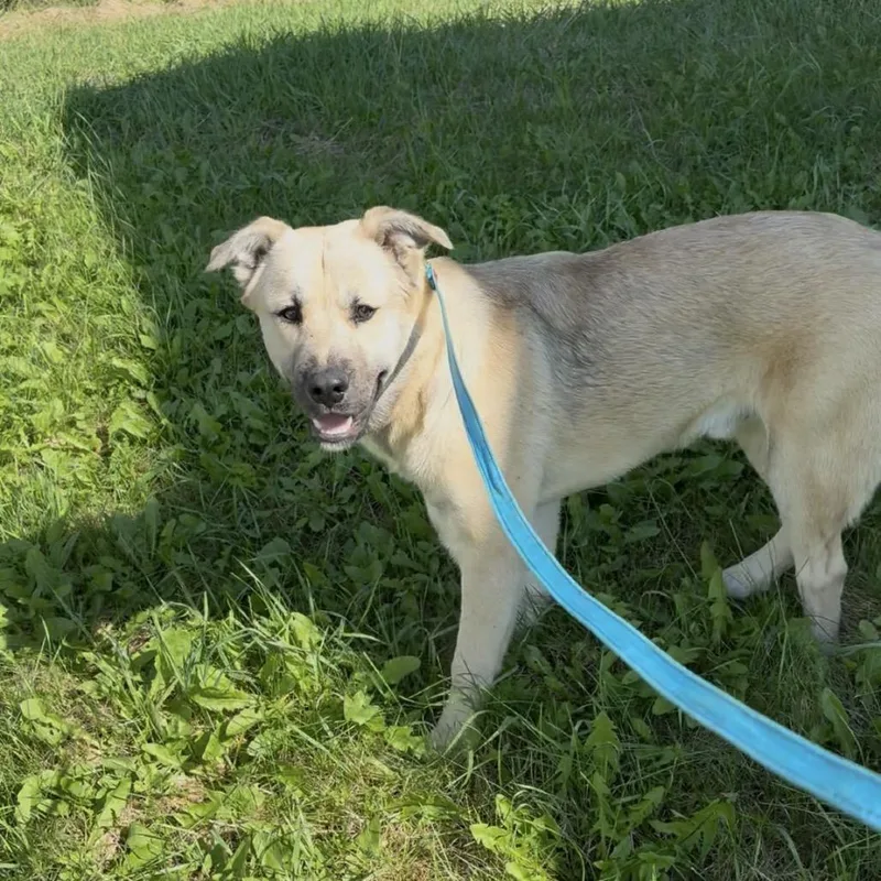 Mcmuffin thumbnail 4