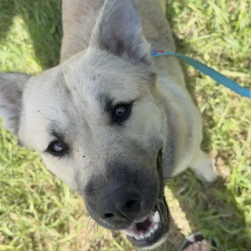 Mcmuffin thumbnail 5