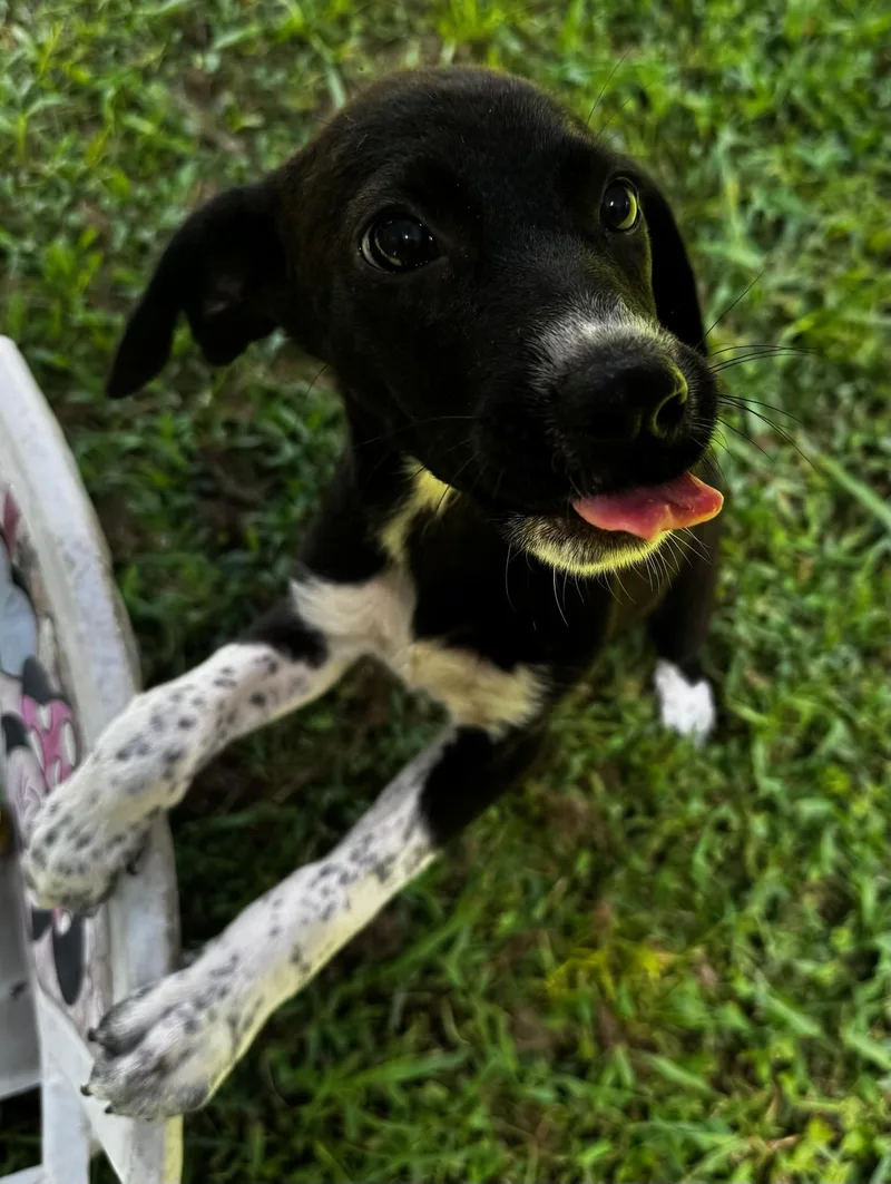 Skylar