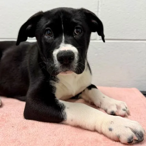 Anna Mae thumbnail 2