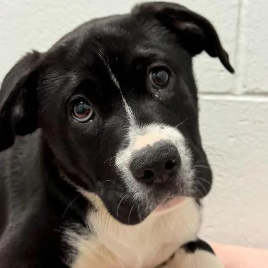 Anna Mae thumbnail 3