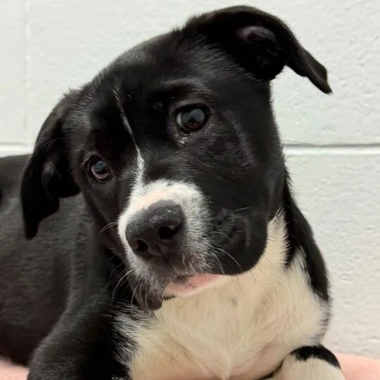 Anna Mae thumbnail 4