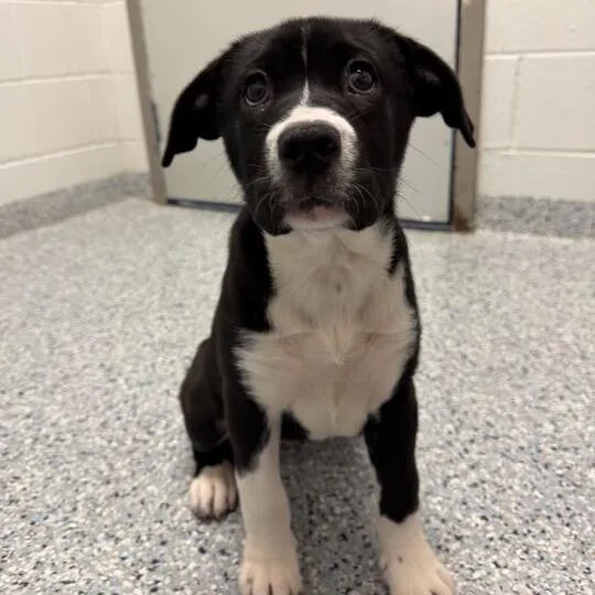 Anna Mae thumbnail 5