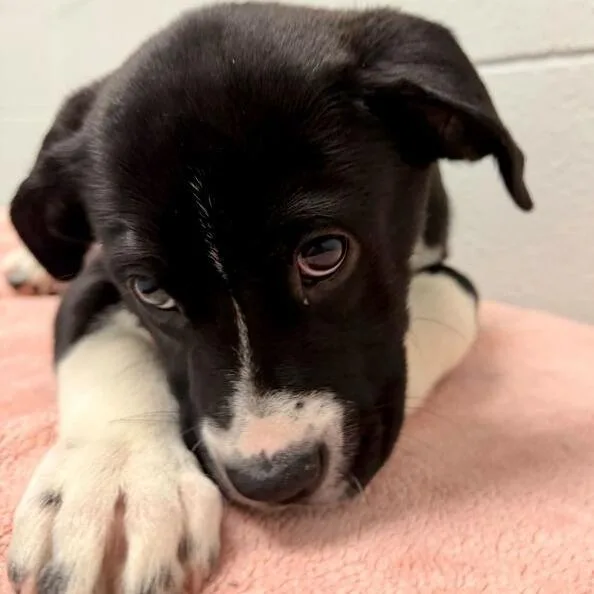 Anna Mae thumbnail 6