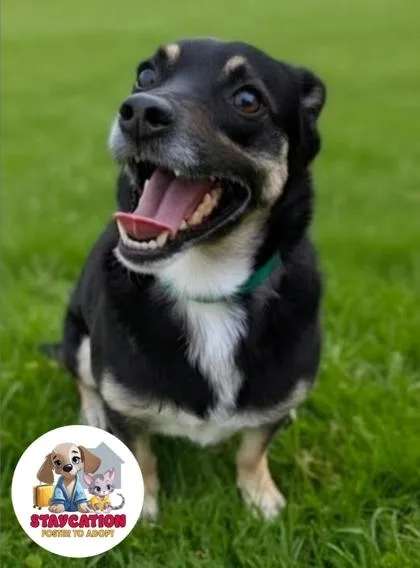 Paco