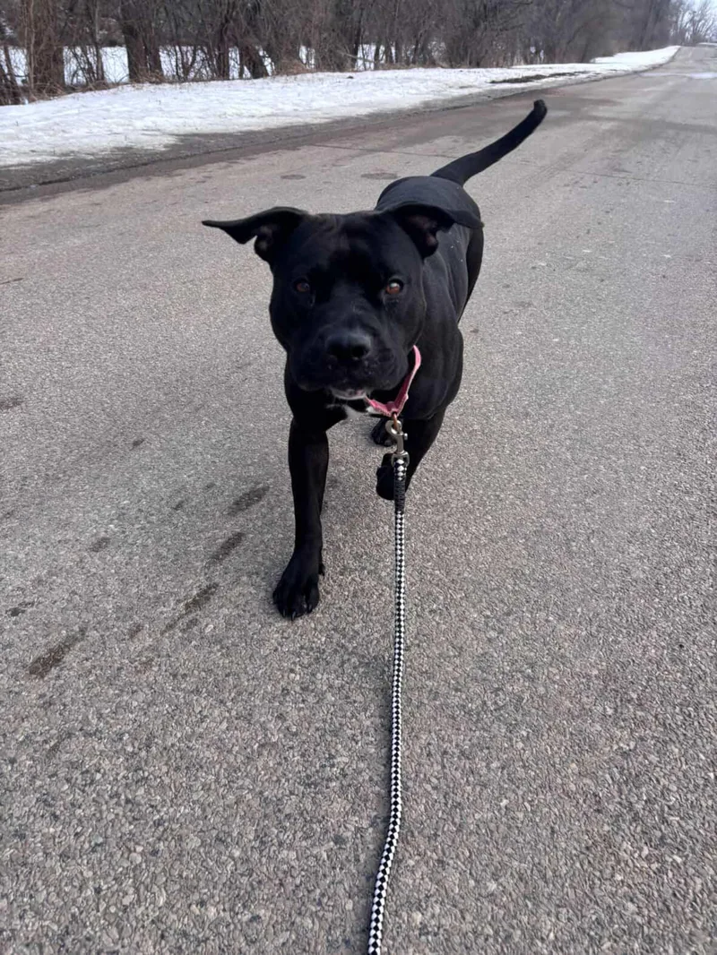 Baby Girl thumbnail 2