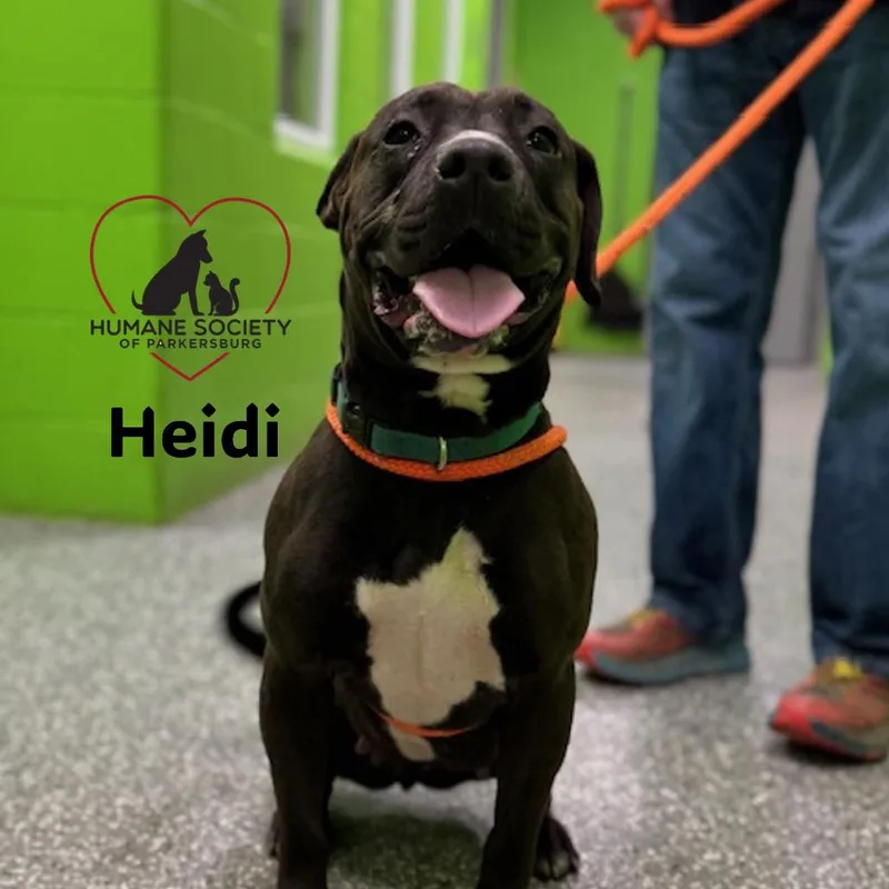 Heidi thumbnail 2