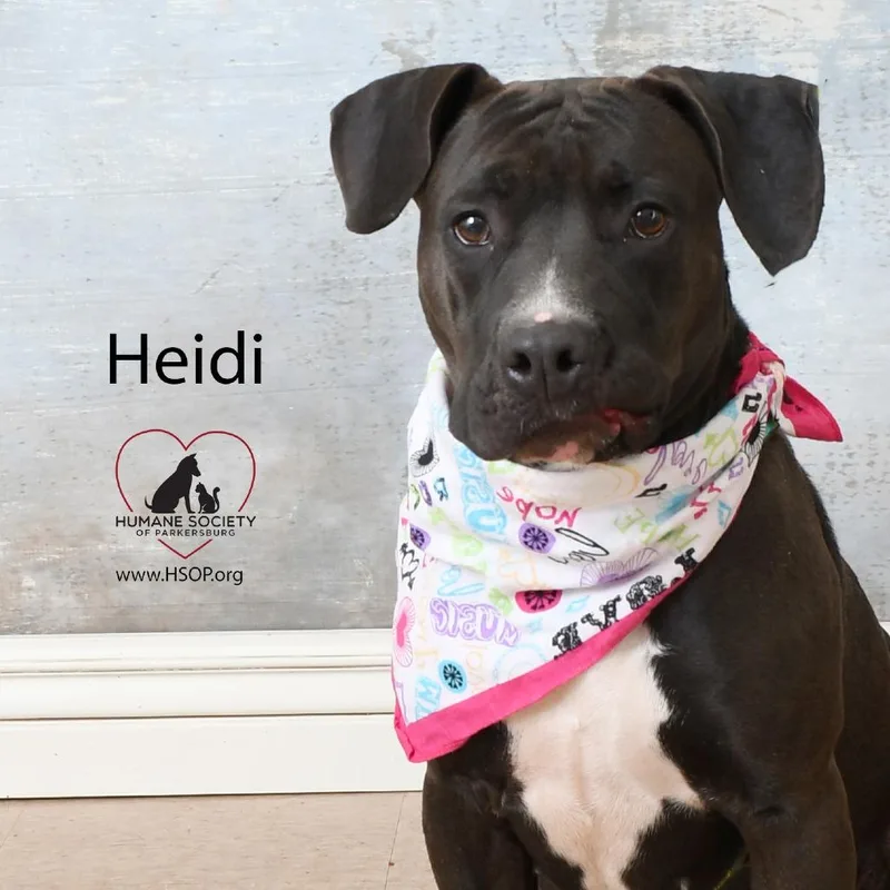 Heidi thumbnail 3