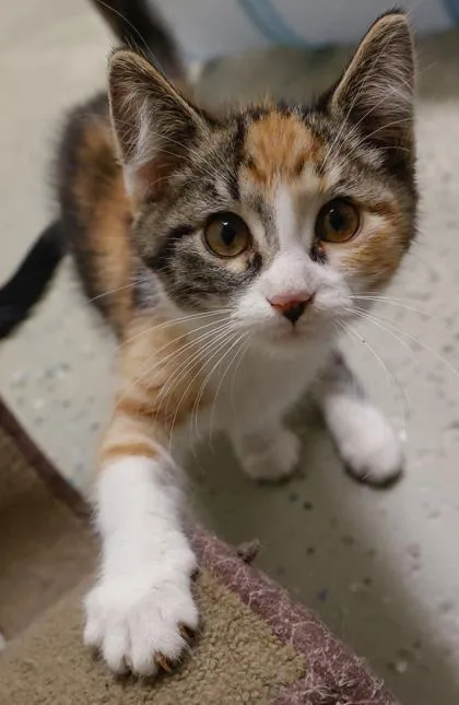 Vickie thumbnail 3