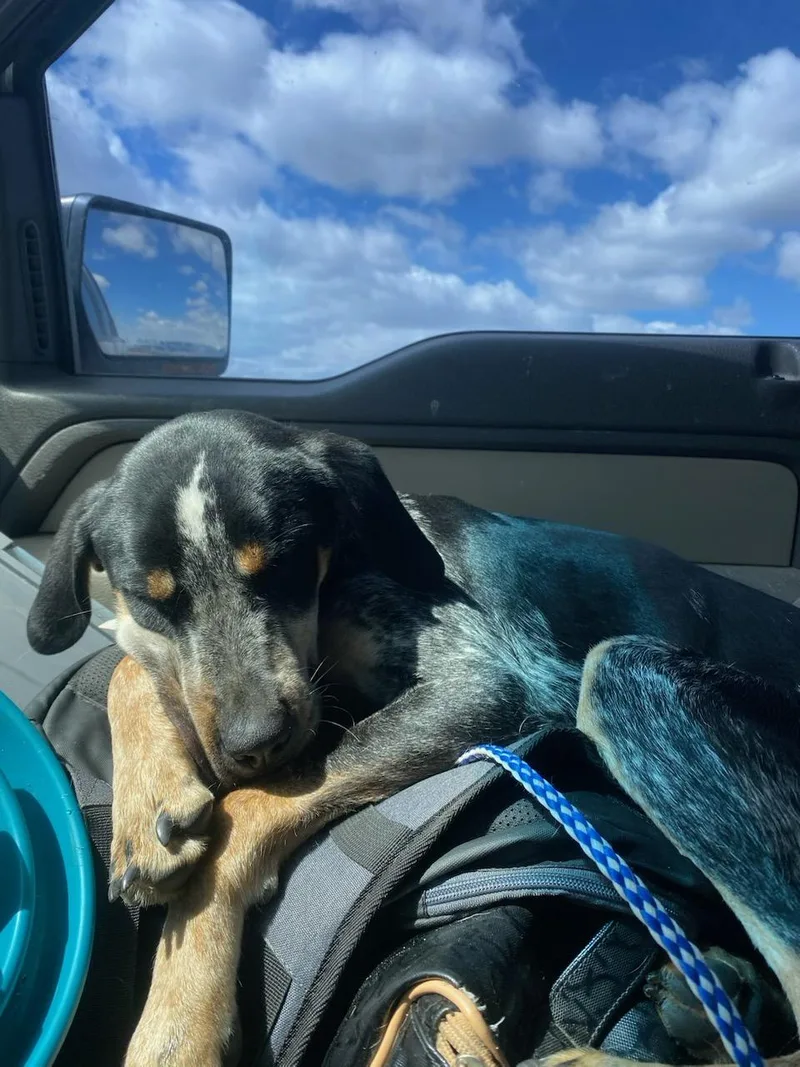 Roscoe  Courtesy Listing thumbnail 2