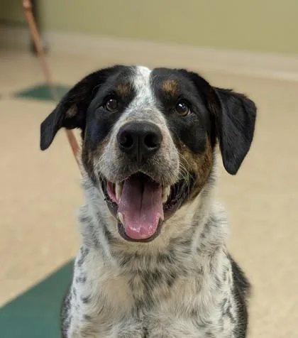 Sam