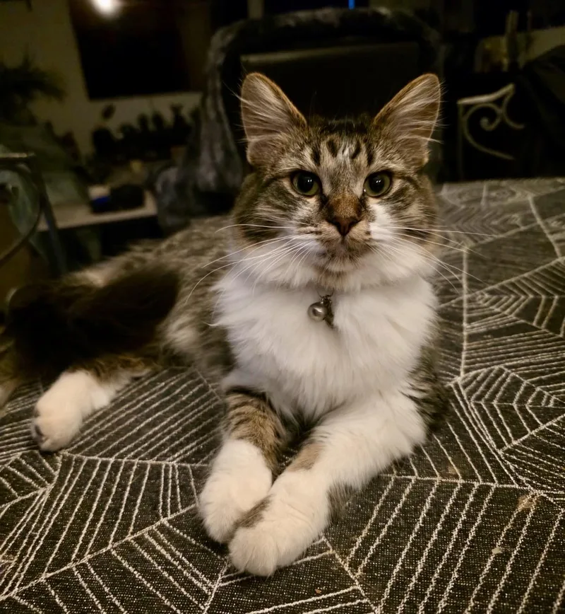 Stormy