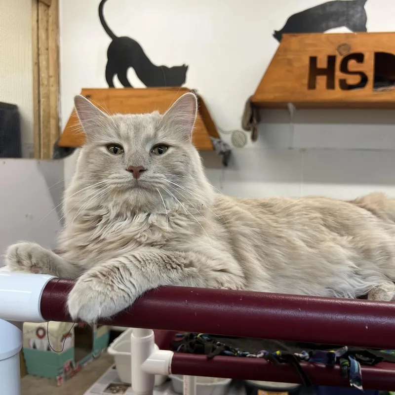 Terrence thumbnail 2