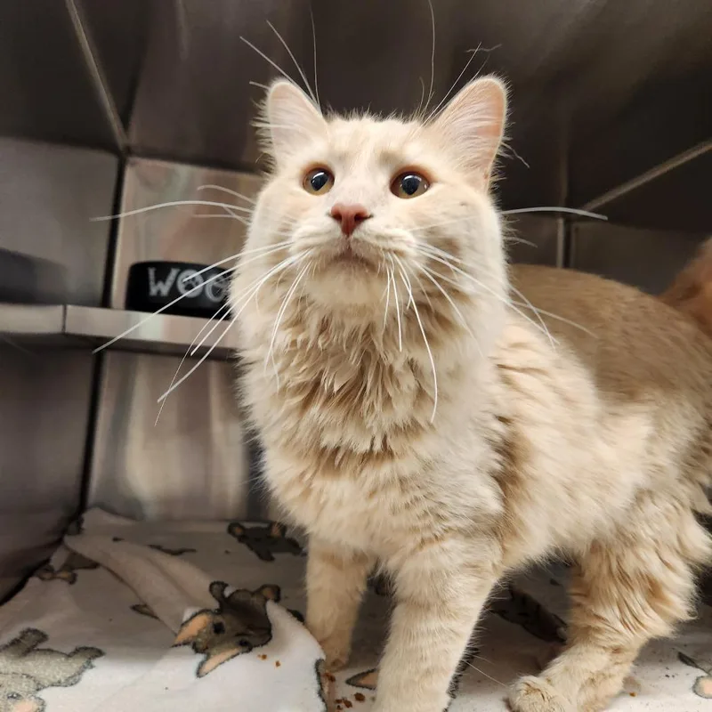 Terrence thumbnail 3